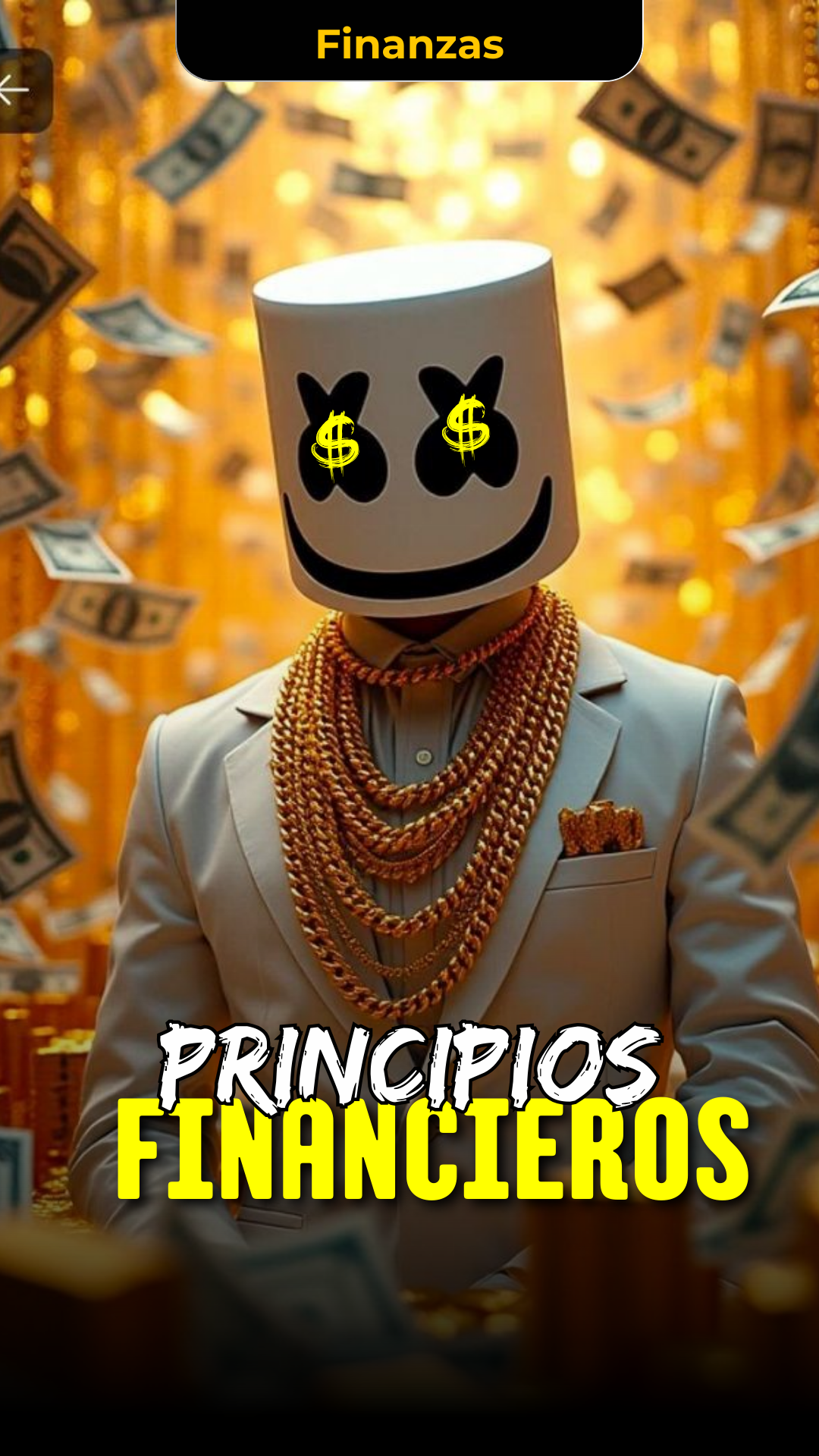 principios financieros